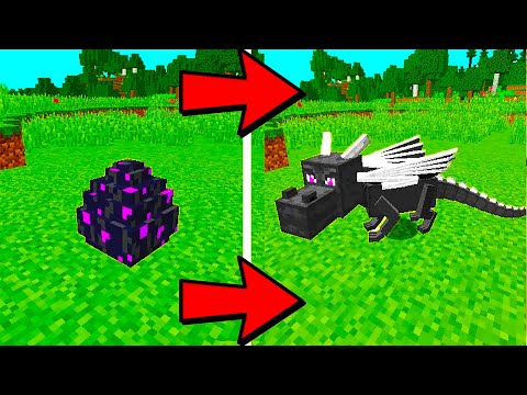 How to Hatch The Ender Dragon Egg in Minecraft | 100% Works! How to Hatch The Ender Dragon Egg in Minecraft | 100% Works!