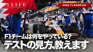 【バーレーンテスト】F1テストの見方、教えます【2025 T01 BHR】