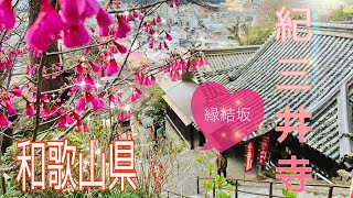 【紀三井寺周辺】和歌山県 縁結坂・身代わり大師 など 見所が多い寺