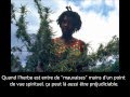 Peter Tosh - Interview à Montréal (1983) - VOSTFR