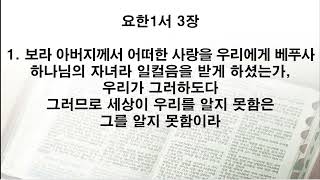 2024년 성경일년일독하기 356일차 (요한일서 1장~5장)