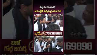 నల్ల కండువాతో అసెంబ్లీకి వచ్చిన వైఎస్ జగన్  #ysjagan #apassembly #apnews #telugunews #shorts