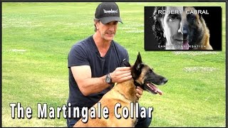 The Martingale Collar - Dog Training Equiptment