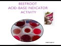 Natural Indicator / beetroot