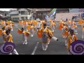 大橋通り踊り子隊　2016よさこい四万十　中村病院　４k　2016 9 18