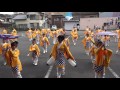 大橋通り踊り子隊　2016よさこい四万十　中村病院　４k　2016 9 18