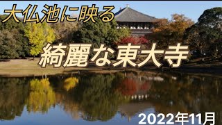 いい眺めですな。東大寺の紅葉　大仏池に綺麗に映る東大寺。　近くて安い駐車場あり。30分100円　Beautiful Todaiji Temple