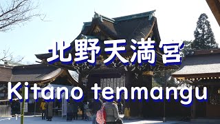 Japan Kyoto Kitano Tenmangu  walking  20210206 北野天満宮を歩きました。