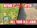 How to KILL your OLD LAWN using ROUNDUP - The First Step in a COMPLETE RENOVATION