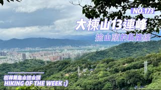 新北樹林｜大棟山13峰連走｜樹林山｜尖棟山｜大青坑崙｜鎮遠山｜秋壇山｜大棟山｜馬頭厝山｜馬頭尖｜東嶺頂山｜新朝嶺山｜大湖頂山｜關公嶺｜北天宮｜大同山步道