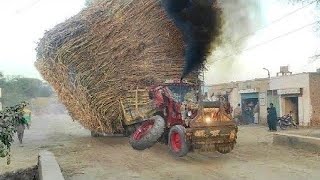 Powerful Tractors are pulling trailers in turns | Belarus Tractor are emitting a lot of smoke