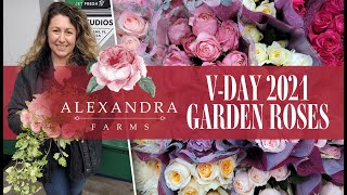 JFTV: Alexandra Farms Valentine's Day 2021 Garden Rose Preview with Celine