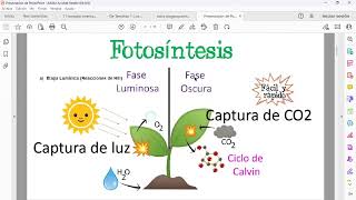 1 Ciclos biogeoquimicos 11