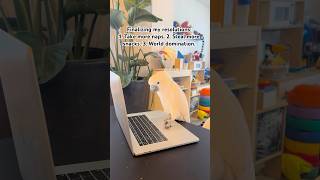 Marni the Cockatoo is finalizing his resolutions. #holidayswithyoutube #cockatoo