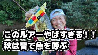 秋のトップは音で釣る！ジョルジェットダーター