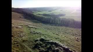 Wye Nature Reserve, Kent, UK | Rezerwat Przyrody w Wye, hrabstwo Kent, Anglia