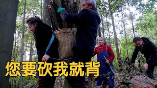 【农村四哥】犟脾气老妈闲不住，偷偷跑去上山砍柴，媳妇用了啥办法？这回服了