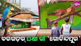 Birds Village, Govindpur: ପକ୍ଷୀ ଗାଁ ଗୋବିନ୍ଦପୁରନେ ଠୋଲ୍ ହେସନ୍ ବିଦେଶୀ ପକ୍ଷୀ... ସବୁଆଡ଼ୁ ଦେଖି ଆଏସନ୍ ଲୋକ୍