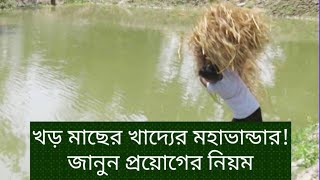 পুকুরে ফ্রি ফ্রি প্রচুর খাদ্য তৈরি হয় || Good Aquaculture || খড়ের উপকারিতা অত্যাধিক।