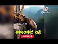 you wanna help them මෙහෙමත් අලි. viralvideo trending elephant youtube vlog