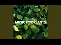 Root Rhythms