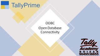 ODBC - Accessing data of TallyPrime You using Open Database Connectivity