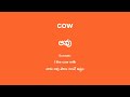 cow meaning in telugu ఆవు english translation