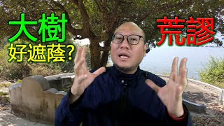 【風水大樹勿亂種 弄錯衰一生】第057集 駱法丹風水工作室