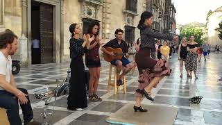 Flamenco  Granada  Spain