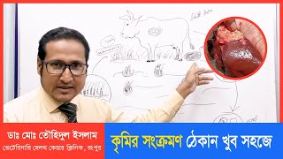 গরুর কলিজা কৃমি কিভাবে ছড়ায় | গরুর কৃমি রোগ | Liver Flukes of Cattle | Dr.Md.Touhidul Islam