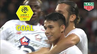 Goal Luiz ARAUJO (24') / OGC Nice - LOSC (1-1) (OGCN-LOSC) / 2019-20