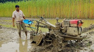 অতুলনীয় গতি সেফিং পাওয়ার টিলারের ২৮ ফাল দিয়ে জমি চাষ / সেফিং পাওয়ার টিলার / দ্রুত জমি চাষ / জমি চাষ