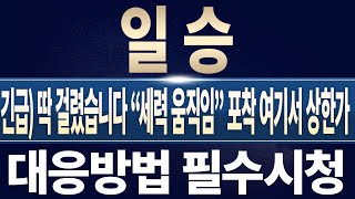 [일승 주가전망] [긴급] 딱 걸렸습니다 \