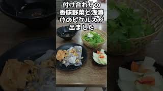 デリバリー牛丼、バインクオン、バンカンクア　海外年金生活チャンネル#プチ移住海外#シニアYouTuber#アドレスホッパー