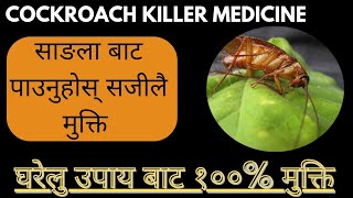 sangla marne tarika | cockroach killer medicine in Nepal | sangla kasari hataune