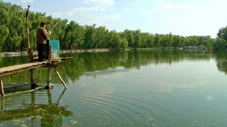 新疆精河 - 精河人民公園 Jinghe people park, Jinghe Xinjiang (China)