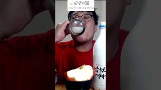 소주 대신 막걸리한잔 26일차 술먹방 Mukbang eating show モッパン #shorts #쇼츠먹방