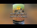 garlic chutney in 2 minutes பூண்டு சட்னி இரண்டு நிமிடத்தில் easy u0026 tasty u0026 spicy