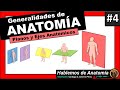 🔴 ANATOMIA 👉 PLANOS Y EJES DEL CUERPO HUMANO 🟩 ANATOMÍA GENERALIDADES #4 🟪Hablemos de Anatomía y Alg