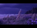 cure - passion mango | slowed & reverb