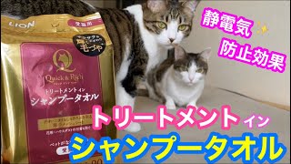 静電気＆花粉対策にシャンプータオルは便利！お風呂嫌いの元野良猫モモ＆ねこたもこれならへっちゃら？【我が家編】＊145