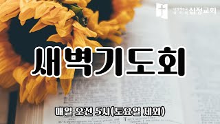 25.01.31. 금요 새벽기도회(김성광목사)