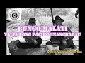 BUNGO MALATI || INSTRUMENTAL TALEMPONG PACIK