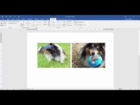 Fixing strange graphics in Word Fixing strange graphics in Word