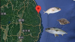 本当は教えたくない！岩手県釣れる堤防ランキングTOP3