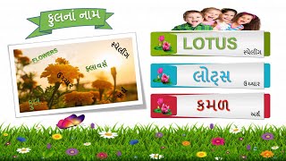 ફુલનાં નામ | flowers name with pictures | flowers name with spelling | flowers name for kids