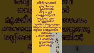 വളരെ ചെറിയ ഉറുമ്പുകളെ ഇങ്ങനെ എളുപ്പത്തിൽ ഒഴിവാക്കാം #ട്രിക്‌സ് and tip #youtubeshorts