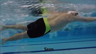 Narrows Triathlon Club Workshop 11th Feb 2018 - Swim video analysis