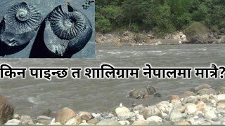 Shaligram can only be found in the Kaligandaki river of Nepal for this reason Shaligram in Kaligandaki river Nepal