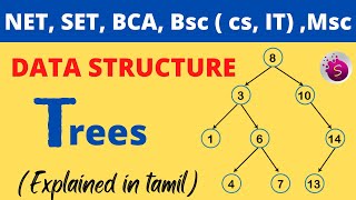 what is a tree? / data structure / explained in tamil